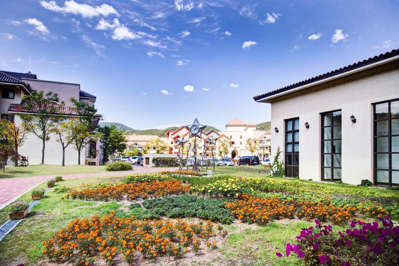Tops10 Resort Donggang Cistar Yeongwol Экстерьер фото